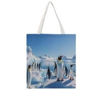 RLDOBOFE Penguin Antarctica Ice Canvas Tote Bags, Reusable Grocery Bag with Handle, Shoulder Bag for Shopping Beach Storage Travel Gift