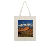 RLDOBOFE Pikes Peak Colorado Print Canvas Tote Bag Reusable Grocery Bag Lightweight Shopping Cloth Bags with Long Handles Aesthetic Cute Shoulder Bags for Women Lady Casual Vacation