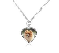 RLDOBOFE Pomeranian Dog Cremation Jewelry for Ashes Heart Urn Necklaces Personalized Memorial Necklace Dog Cat Keepsake Pendant Custom Small Locket Ash Holder for Women Men