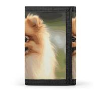 RLDOBOFE Pomeranian Dog Trifold Wallet Minimalist Mens Wallet with Key Hook 8 Card Slots Modern Stylish Polyester Security Wallets Fashion Slim Credit Card Holder Id Window
