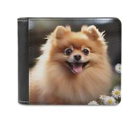 RLDOBOFE Pomeranian Dog Wallet Passcase for Men, Extra Capacity Bifold Leather Wallets with ID Windows, Slim Stylish Wallet for Gift, Blocking Money Clip for Cards, Coin Pouch