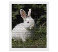 RLDOBOFE Rabbit on The Grass Diamond Painting Kit for Adults Round 5d Diamond Art Kits for Beginners DIY Full Drill Diamonds Dots Painting Gem Arts Crafts Home Wall Decor Gift 16"x20"