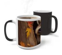 RLDOBOFE Raccoon in Tree Hole Ceramic Color Changing Mug Heat Transforming Activated Mug 11 Oz Heat Changing Sensitive Tea Cup Magic Novelty Coffee Cup Drinkware Home Kitchen Gift