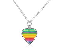 RLDOBOFE Rainbow Colored Striped Pet Urn Necklaces for Ashes, Heart-Shaped Pendant for Cat Lover, Custom Dog Cremation Keepsake Jewelry, Picture Necklace Personalized for Loss of Dog