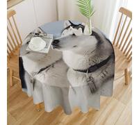 RLDOBOFE Round Husky Dogs Tablecloth Polyester Washable Table Cloth Colorful Spring Summer Circle Table Cover Stain Resistant Tabletop Decoration for Party Outdoor Picnic 70x70in