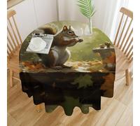 RLDOBOFE Round Squirrel Eats Nuts Tablecloth Polyester Washable Table Cloth Colorful Spring Summer Circle Table Cover Stain Resistant Tabletop Decoration for Party Outdoor Picnic 50x50in