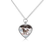 RLDOBOFE Skiing Squirrel Cremation Jewelry for Ashes Heart Urn Necklaces Personalized Memorial Necklace Dog Cat Keepsake Pendant Custom Small Locket Ash Holder for Women Men
