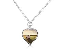 RLDOBOFE Soccer Ball on A Field Cremation Jewelry for Ashes Heart Urn Necklaces Personalized Memorial Necklace Dog Cat Keepsake Pendant Custom Small Locket Ash Holder for Women Men