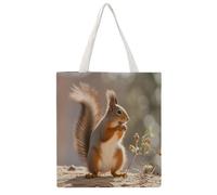 RLDOBOFE Squirrel Funny Animal Canvas Tote Bags, Reusable Grocery Bag with Handle, Shoulder Bag for Shopping Beach Storage Travel Gift