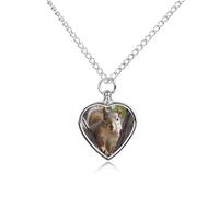 RLDOBOFE Squirrel in The Tree Pet Cremation Necklaces for Ashes Personalized Pet Ashes Jewelry Heart Shaped Urn Pendant Custom Memorial Funeral Keepsake for Loss Dogs Cats