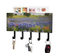 RLDOBOFE Texas Bluebonnets Scenery Key Holder Wall Mount, Adhesive Key Rail Rack Hanger Holder Black with 5 Hooks, No Drill, Keys Chain Organizer for Living Room, Front Door, Hallway, Office