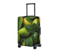 RLDOBOFE Travel Luggage Cover for Suitcase Elastic Suitcase Protector Green lemon Suitcase Covers Washable Suitcase Protective Cover Dust-proof Luggage Covers Fit 18-32 Inch Luggage, Black, Small