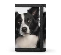 RLDOBOFE Trifold Border Collie Wallet Minimalist Slim Mens Wallet with Zipper & Key Ring Polyester Stylish Wallets 8 Multiple Credit Card Holder for Daily Use Work Travel