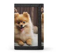 RLDOBOFE Trifold Cute Pomeranian Dog Wallet Minimalist Slim Mens Wallet with Zipper & Key Ring Polyester Stylish Wallets 8 Multiple Credit Card Holder for Daily Use Work Travel