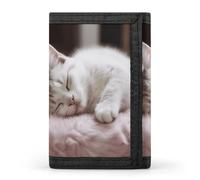RLDOBOFE Trifold Sleeping Cat Wallet Minimalist Slim Mens Wallet with Zipper & Key Ring Polyester Stylish Wallets 8 Multiple Credit Card Holder for Daily Use Work Travel