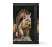 RLDOBOFE Trifold Squirrel Animal Wallet Minimalist Slim Mens Wallet with Zipper & Key Ring Polyester Stylish Wallets 8 Multiple Credit Card Holder for Daily Use Work Travel