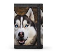 RLDOBOFE Trifold Stupid Husky Dog Wallet Minimalist Slim Mens Wallet with Zipper & Key Ring Polyester Stylish Wallets 8 Multiple Credit Card Holder for Daily Use Work Travel