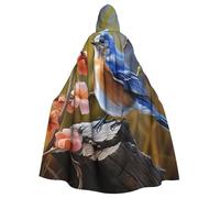 RLDOBOFE Unisex Full Length Halloween Hooded Cloak Eastern Bluebird Hooded Robe Witch Cape for Halloween Cosplay Costume