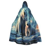 RLDOBOFE Unisex Full Length Halloween Hooded Cloak Polar Bears Northern Lights Hooded Robe Witch Cape for Halloween Cosplay Costume