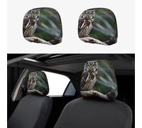 RLDOBOFE Wild Owl Birds Car Headrest Cover 2 PCS, Funny Auto Front Seat Head Rest Protector, Universal Car Headrest Protector Elastic, Personalized Seat Cover Headrest Trim for Most Cars