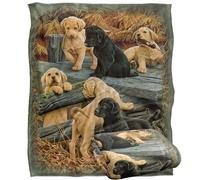 Rle Labrador Pups Silky Touch Super Soft Throw Blanket 152 X 127 cm, White