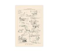 rlfnde Arthur Morgan Legendary Animals Journal Drawings Poster Canvas Poster Bedroom Decor Landscape Office Room Decor Gift 08x12inch(20x30cm)