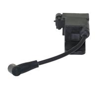 RLFNPHMHX CDM Ignition Module Coil for C/h/r/y/s/l/e//r F/o/r/c//e 40/50/60/75/90/120hp 827509A/827509A3,827509A4,827509A7,827509A9,827509A10,827509T7