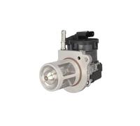 RLFNPHMHX EGR Valve for M//e//r//c//e//d//e//s J//e//e//p C//h//r//y//s//l//e//r 3.0 D//i//e//s//e//l Gas Recirculation,A6421401060 6421401060