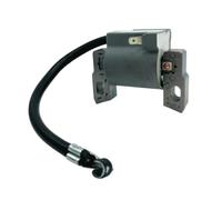 RLFNPHMHX Ignition Coil for B//r//i/g/g/s & S//t/r/a/t/t/o/n 796500 595291