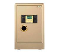 RLKHXBS Hotel s Money Handling Products Anti-Theft in-Wall Password Deposit Password/Fingerprint for Home and Office (Color : Gold Size : Fingerprint) (Gold Password)