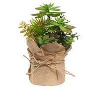 RLKHXBS Tabletop Figurine for Holiday Living Room Bedroom Home Decoration Statue s ?Pastoral Fresh Home Simulation Plant Hemp Rope Potted Small Bonsai Indoor Living Room Green Plant Decorat