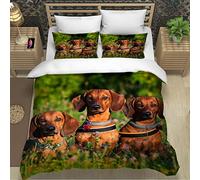 RLYXGS Dachshund Bedding King Size Animal Pet Duvet Cover Set 3 Piece Microfiber Lightweight Quilt Cover Luxury Bedroom Decor Bedspread Cover With Zipper Closure 2 PillowCases 220X230cm
