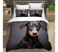 RLYXGS Doberman Pinscher Bedding Double Size Animal Pet Duvet Cover Set 3 Piece Microfiber Lightweight Quilt Cover Luxury Bedroom Decor Bedspread Cover With Zipper Closure 2 PillowCases 155x220cm