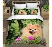 RLYXGS Pomeranian Spitz Bedding Double Size Animal Pet Duvet Cover Set 3 Piece Microfiber Lightweight Quilt Cover Luxury Bedroom Decor Bedspread Cover With Zipper Closure 2 PillowCases 155x220cm