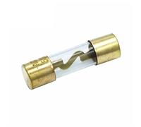 RLZQSGOT 5Pcs 10 * 38MM Gold Plated Glass AGU Fuse Fuses Pack Car Audio Amp Amplifier 10A 15A 20A 25A 30A 40A 50A 60A 70A 80A 100A Car Fuse(70A)