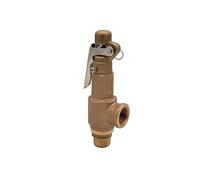 RLZQSGOT S10L Copper Safety Valve 1/2" 3/4" 1" Brass Pressure Relief Valve S10 5bar/8bar/10bar for Screw Air Compressor DN15/DN20/DN25(0.84Mpa,1 Inch)