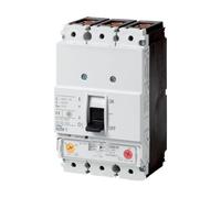RLZQSGOT Series Circuit Breaker NZMB1-A20(NZMS1-S63)