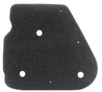 RMS 10 060 0031 Air filter