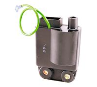 Rms Classic Piaggio Vespa Pk50/s/xl/rush (i)bravo/si/ciao 214417-244127-610324m 246010063 Ecu Kit