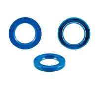 Rms Classic Piaggio Vespa Px 125-150-200cc/et4/sfera/zip/gilera Runner/typhoon 100665510 Rear Wheel Seal Kit 10 Units