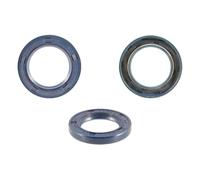 Rms Classic Piaggio Vespa Px 125-150-200cc/et4/sfera/zip/gilera Runner/typhoon 478498 100665500 Rear Wheel Seal Kit 10 Units