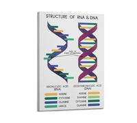 RNA And DNA Educational PrintCover Poster Art Canvas Gift for Friends Or for Your Own Use Bedroom Living Room Decoration AestheticFrame-style 24x36inch(60x90cm)