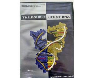 RNA: The Double Life of RNA