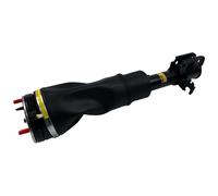 RNB000740 Air Suspension Strut Front Right Replacement For Land Rover Range Rover L322