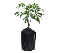 RNCOZE Plant Cover Bag for Winter, Black Oxford Cloth Freeze Protection Planting Pot with Aluminum Film, Plant Insulation Cover for Vegetable Fruit Tree