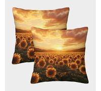 RNDKAUUIE Cartoon Sunflower Cushion Covers Decorative Throw Pillow Case Invisible Zipper Sunflower Pillow Cover Sofa Car Outdoor Pillowcase for Home Bed Garden Decor,Set of 2 45x45cm