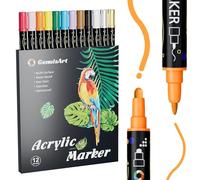 Rnigra Acrylic Paint Pens 12 Colors, Acrylic Markers Dual Tip (Fine 1mm + Dot 5mm), Acrylic Paint Pens for Rock Painting, Rock Painting Pens for Fabric, Canvas, Rock, Paper, Diy, Glass, Wood
