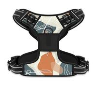 Rnivvi No Pull Dog Harness, Cute Boho Reflective X-Large Sized Puppy Harness, Adjustable Soft Padded Vest for Large Dogs, Heavy Duty Pet Vest with Easy Control Handle for Walking Training, Leaves