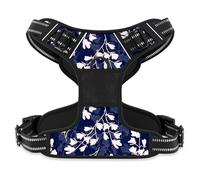 Rnivvi No Pull Dog Harness, Cute Flower Reflective Medium Sized Puppy Harness, Adjustable Soft Padded Vest for Medium Dogs, Heavy Duty Pet Vest with Easy Control Handle for Walking, Blue White