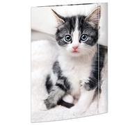 RNK 45331 Drawing Folder Cat 310 x 440 mm DIN A3 with Elastic Closure Pack of 1